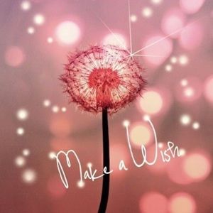 Meet your Posher, Lidia